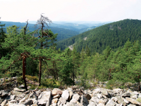 Tracing Celts in Plzeň Region