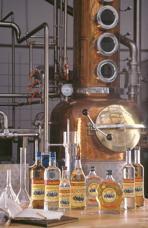 Království slivovice