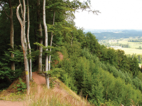 Začalo to v Žamberku