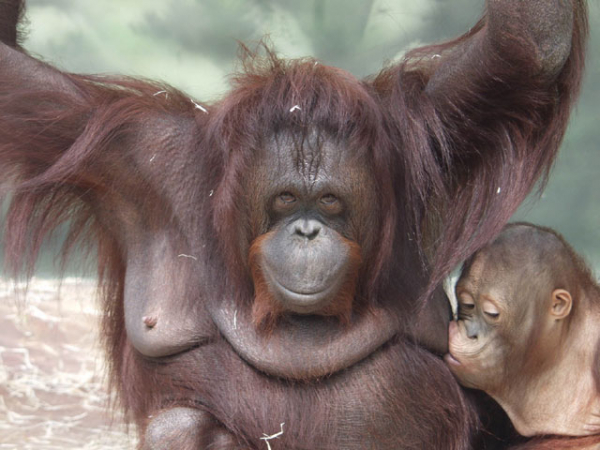 Ústí nad Labem – Otevřená brána Čech