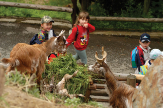 Plzeňská zoo – docela jiný svět