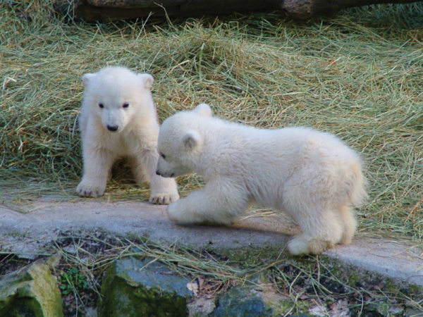 Babí léto na jižní Moravě