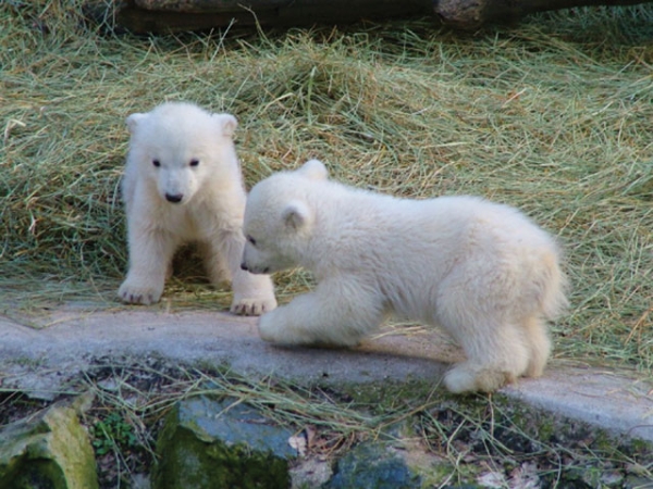 Indian Summer in the Southern Moravia