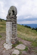 Za přírodou na Králický Sněžník