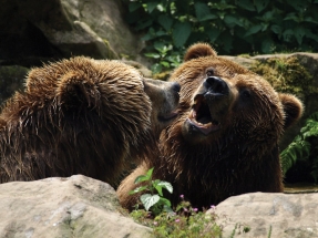 Zoologická zahrada Děčín