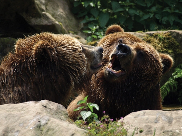 Zoologická zahrada Děčín