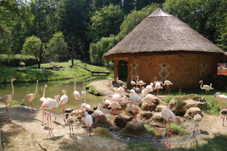 Výlet za zvířátky nejen do zoo