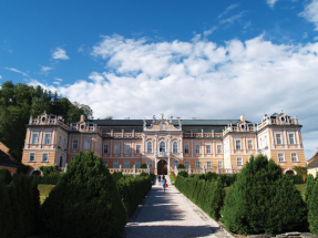 Holiday of Your Dreams?