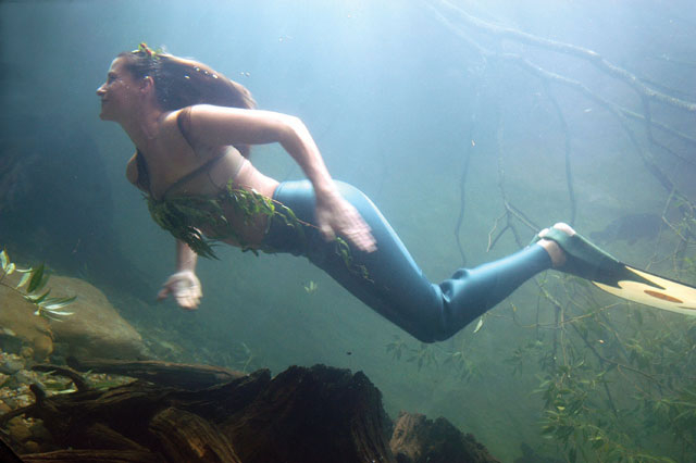 What is Hidden under the Bohemian River Surface?