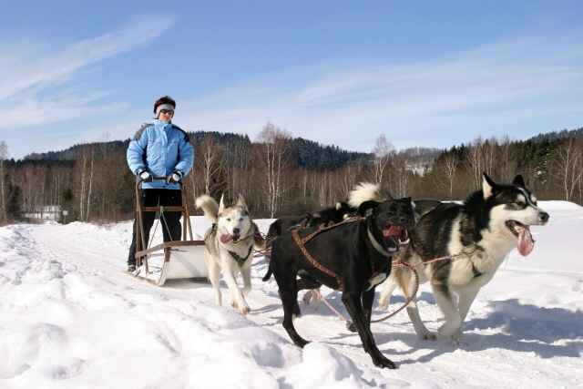 Winter in Südböhmen und im Bayrischen Wald