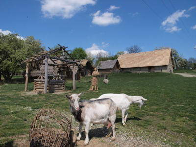 Archeoskanzen Modrá