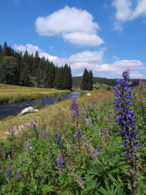 Výlet z Modravy na Tříjezerní slať