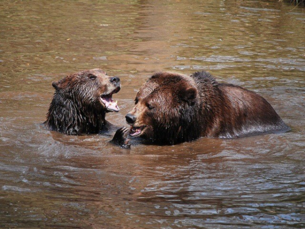 Podkrušnohorský zoopark Chomutov