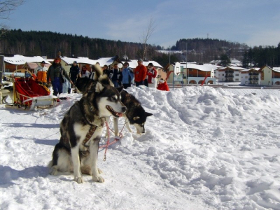 Obrázek č.5