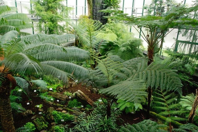 Botanická zahrada v Liberci