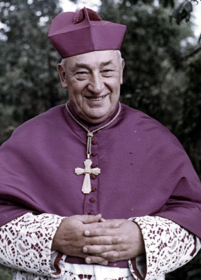 Štěpán kardinál Trochta