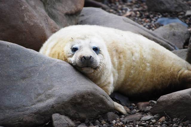Podkrušnohorský zoopark Chomutov