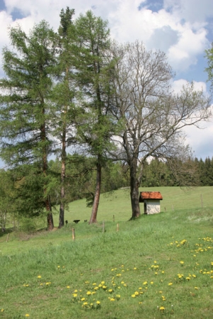 Millennium Zlatá stezka – Fest der Stadt Vimperk