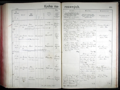 Kniha narozených