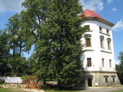 Obrázek č.5