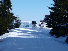 Biegi narciarskie na Orlicku