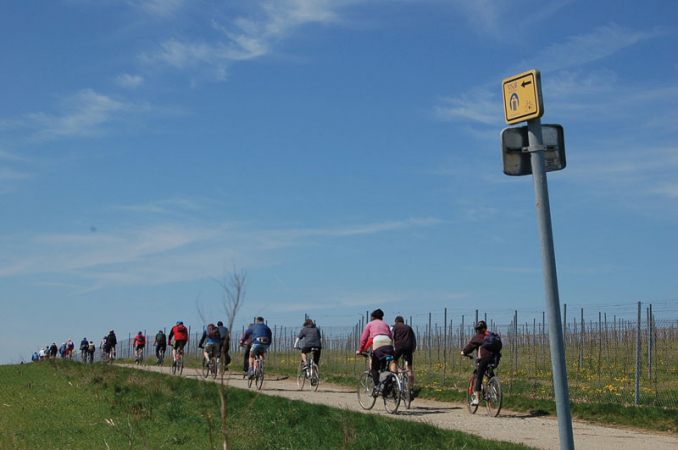 Na kole vinohrady Uherskohradišťska