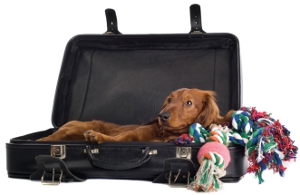 Česko má co nabídnout