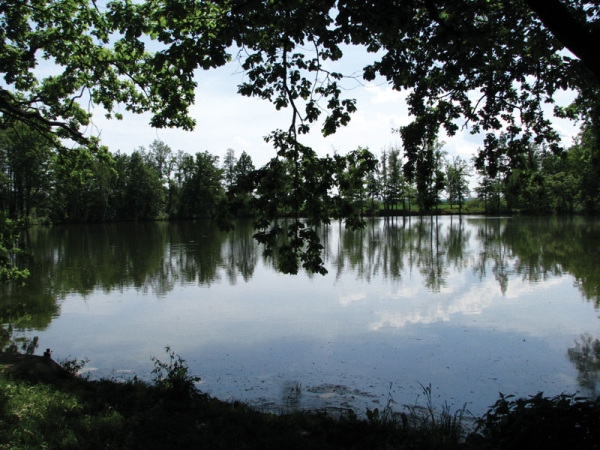 Putování s koupáním na Jindřichohradecku