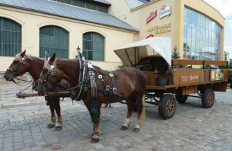 Netradiční zábavné podzimní prohlídky v Plzni