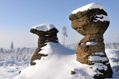 Kladské pomezí – skalní hřiby