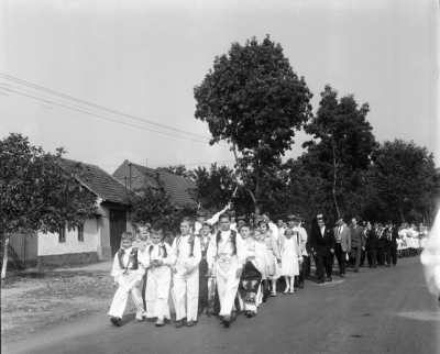 Obrázek č.0