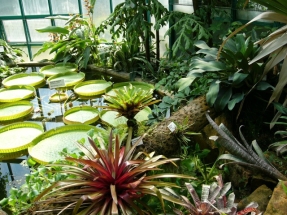 Botanická zahrada Liberec