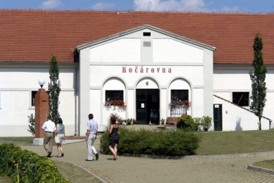 Obrázek č.0