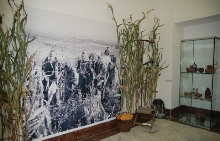 kukurice-dar-noveho-sveta