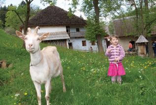 Školní výlety do jižních Čech a příhraničních regionů Dolního a Horního Rakouska