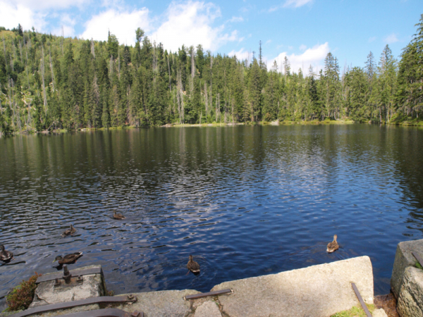 vylet-k-jezeru-polednik