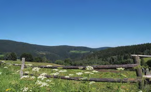 pohodovy-vylet-pro-vsechny