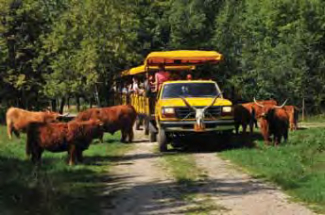 Safari i moře – ideální rodinná dovolená v Chomutově