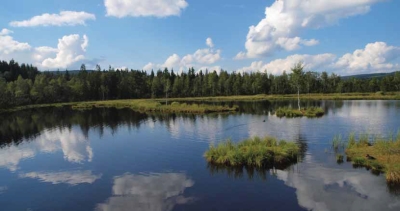 Šumava, přírodní lék na všechny neduhy