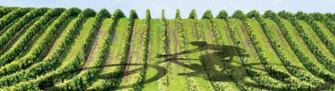 morava