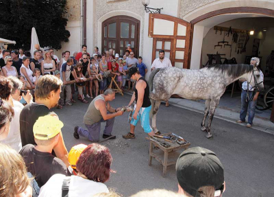 Obrázek č.0