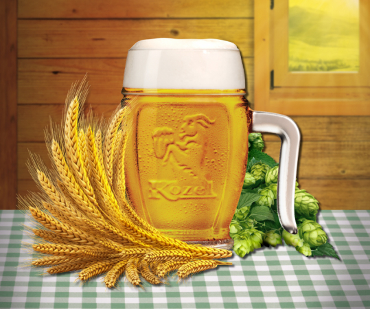 VPK_nefiltr 2013_FINAL