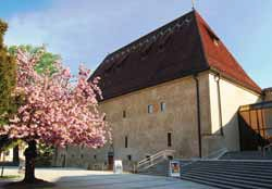 prijedte-do-hradu-litomerice-za-vinem