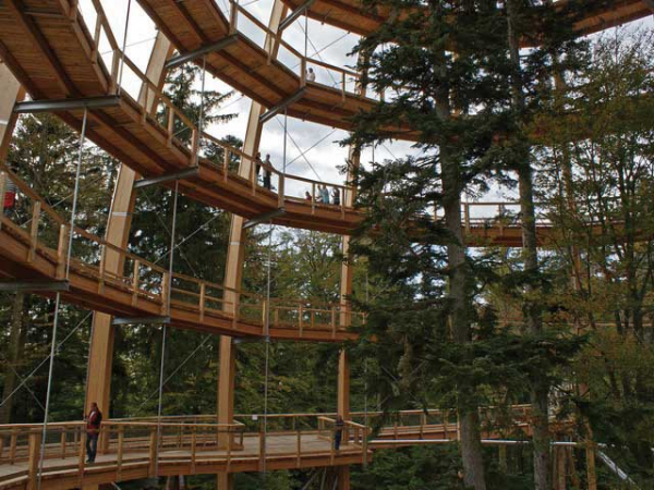 Stezka v korunách stromů