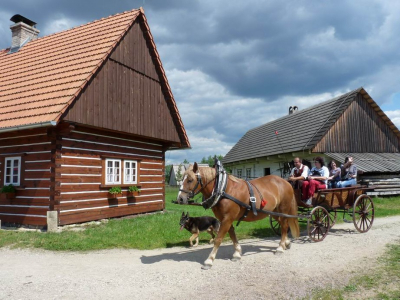 Obrázek č.0