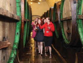 Za tajemstvím zlatavého moku