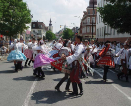 Hodonín – město vína a tradic