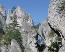 Súlovské vrchy