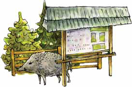 Pozvání tak trochu jinak