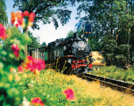 Vydejte se s dětmi za poznáním přeshraničního regionu